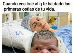 Enlace a Ya está planeando su venganza