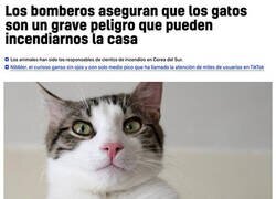 Enlace a Peligro doméstico