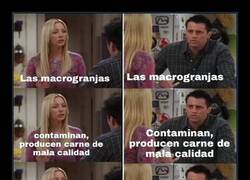 Enlace a Lo de Garzón y las macrogranjas