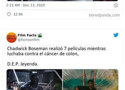 Enlace a Datos fascinantes sobre la industria del cine