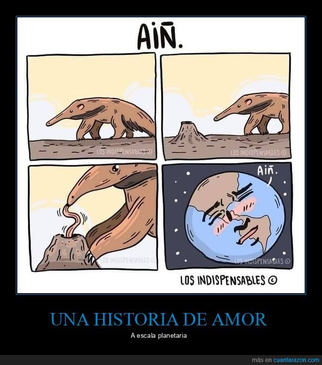 oso hormiguero,tierra