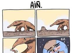 Enlace a El oso hormiguero y la Tierra