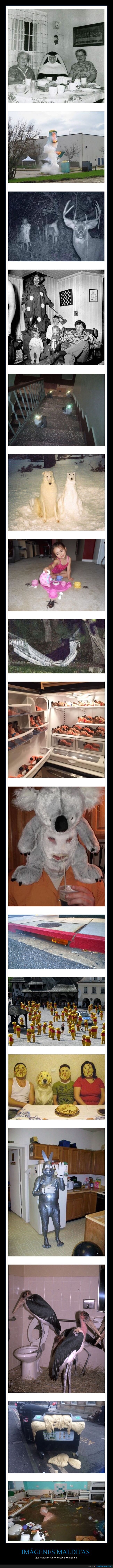 imágenes malditas,wtf