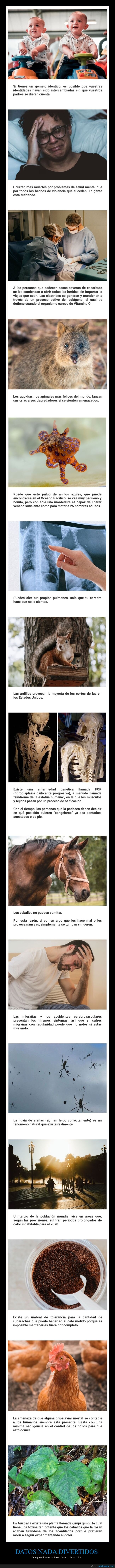 datos perturbadores,curiosidades