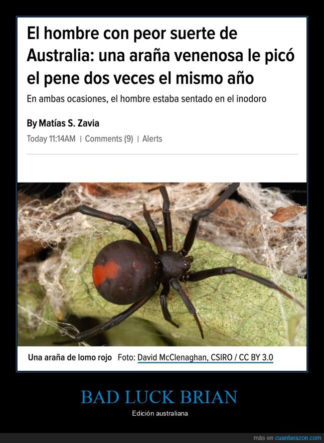 araña,mala suerte,picar,wtf