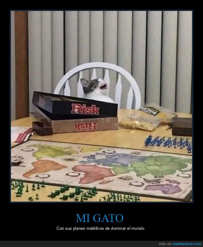 gato,risk,dominar el mundo