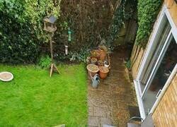 Enlace a Atrapado en el tejado