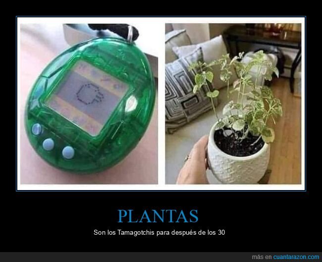 plantas,tamagotchis