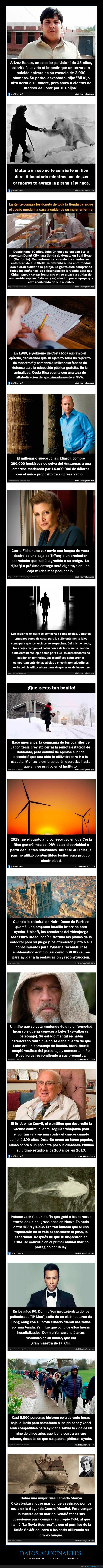 datos interesantes,curiosidades