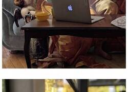 Enlace a Este artista coloca a personajes de la pintura clásica en la realidad moderna y encajan a la perfección