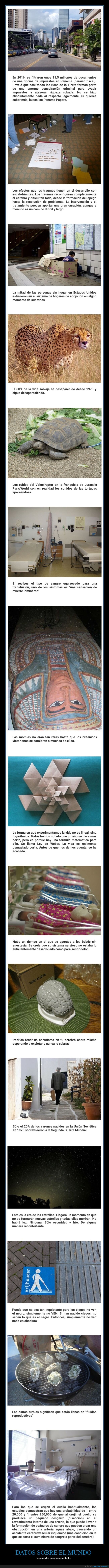 datos,inquietantes,curiosidades