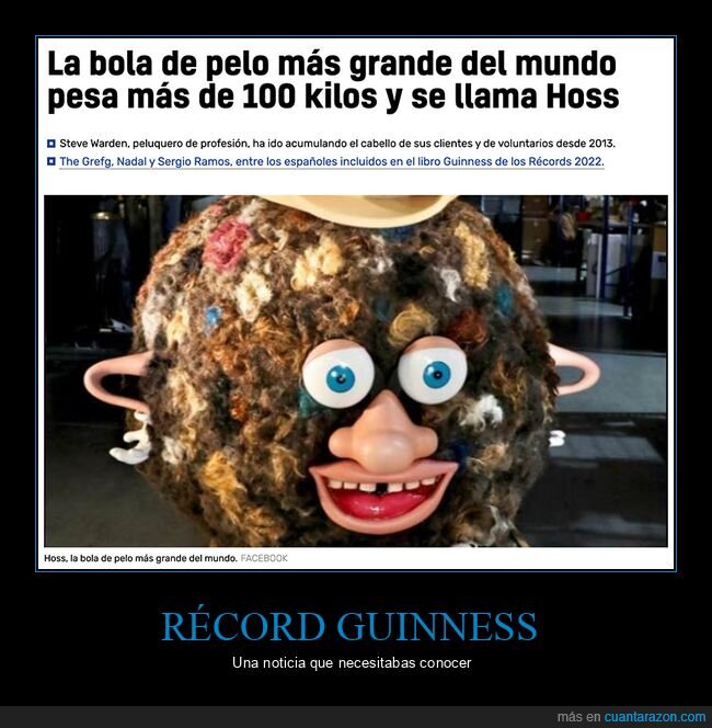 bola de pelo,récord,wtf