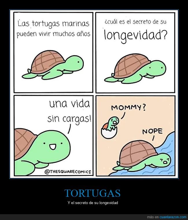 cargas,hijos,longevidad,tortugas marinas