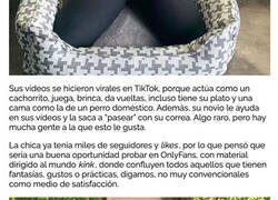 Enlace a Dejó su trabajo y ahora sube vídeos donde actúa como “cachorrita”