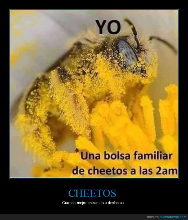 abeja,cheetos,polen