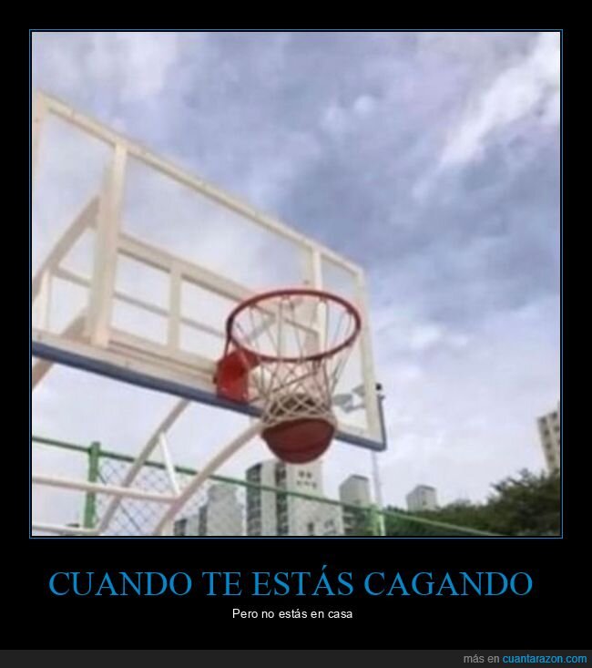 cagando,casa,canasta