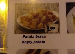 Enlace a Plato típico