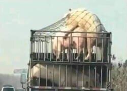 Enlace a Consejo del día