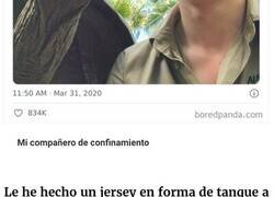 Enlace a Tortugas fotografiadas siendo adorables