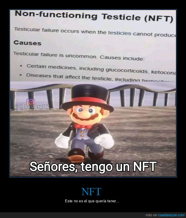 nft,testículos,wtf