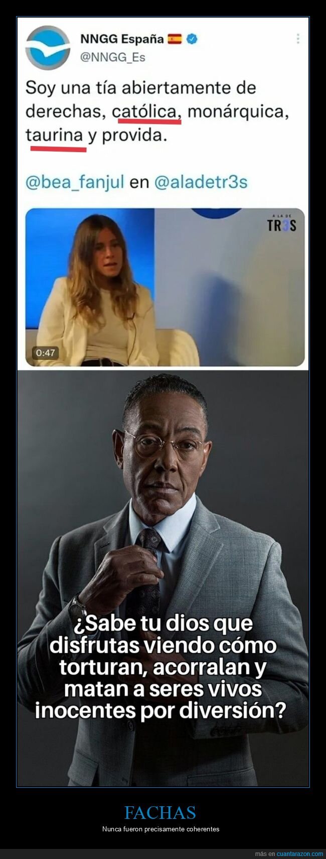 católica,taurina,pp,políticos