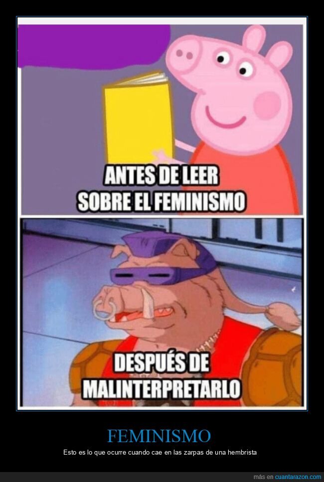 feminismo,malinterpretar