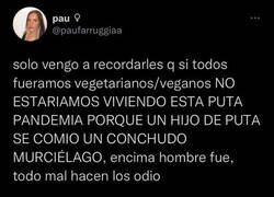 Enlace a Buscando culpables