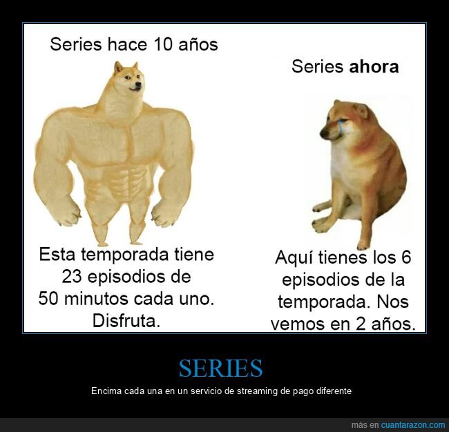 series,antes,ahora,doge y cheems
