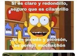 Enlace a Ned Flanders te resuelve las dudas
