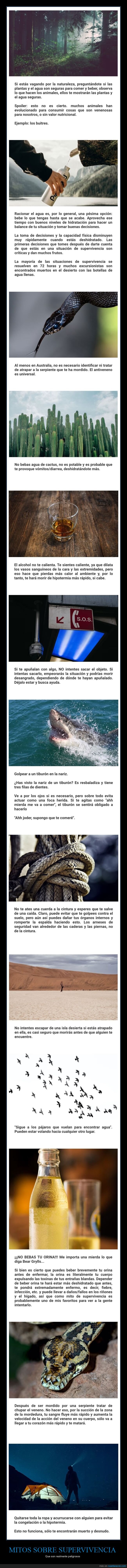 mitos,supervivencia
