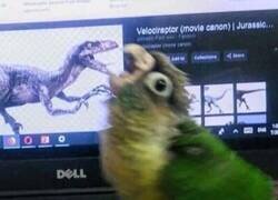 Enlace a Conociendo a sus ancestros