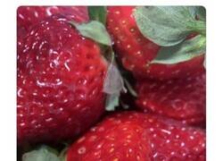 Enlace a Una broma sobre el nombre de las fresas en España desata el cachondeo en Twitter