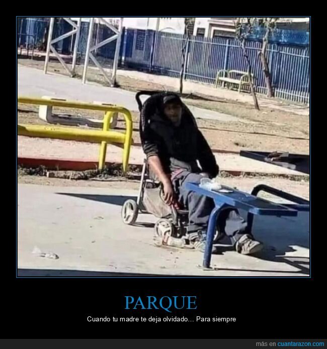 carrito,durmiendo,olvidar,parque