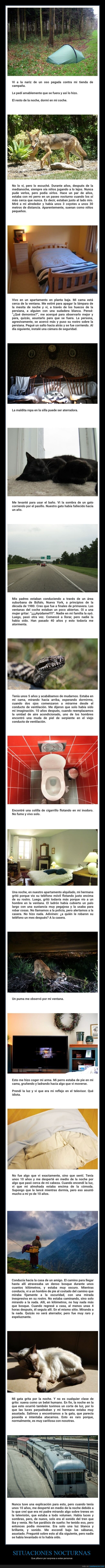 situaciones,noche,wtf