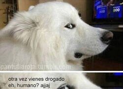 Enlace a Miradas que te juzgan