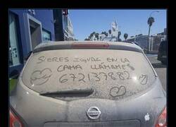 Enlace a Coches que enamoran