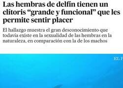 Enlace a La naturaleza nunca deja de sorprender