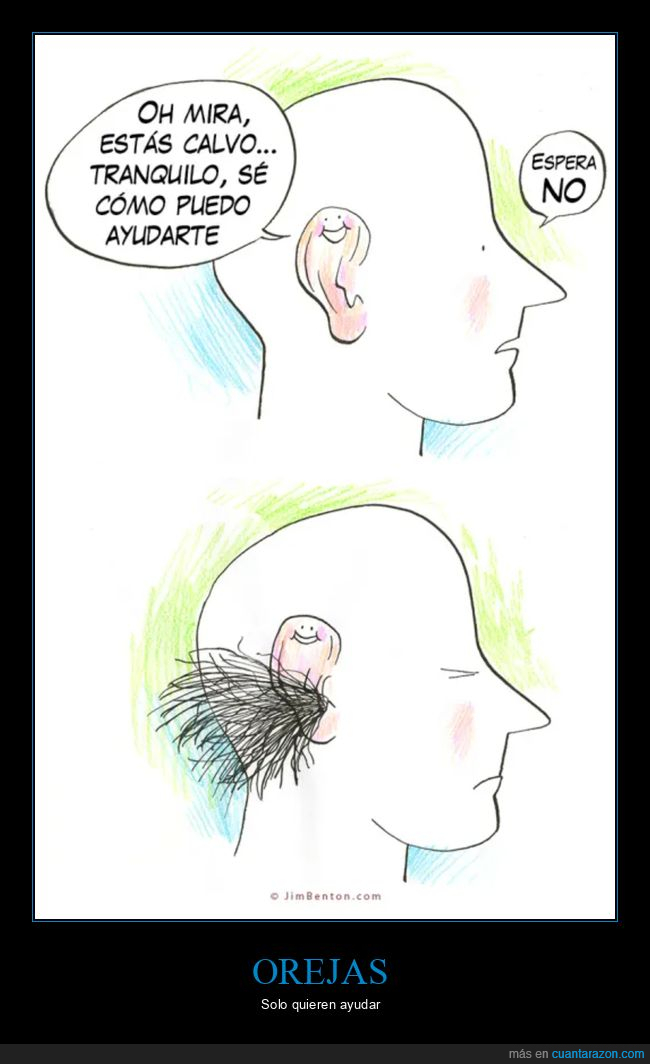 ayudar,calvo,orejas,pelos