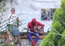 Enlace a Las arañas sevillanas