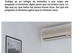 Enlace a Encuentros con personas que te hacen pensar si realmente son tan tontos