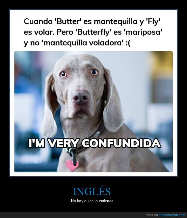 butter,fly,mantequilla,volar,inglés