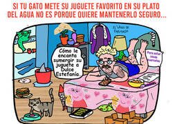 Enlace a Cosas de gatos