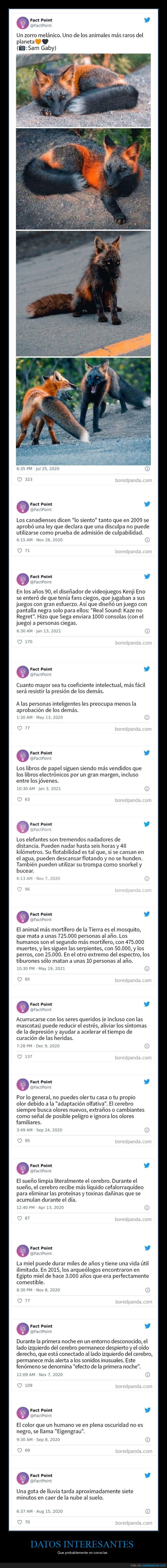 datos interesantes,curiosidades