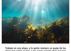 Enlace a Momentos causados por los «malditos turistas», compartidos por personas que viven en destinos vacacionales