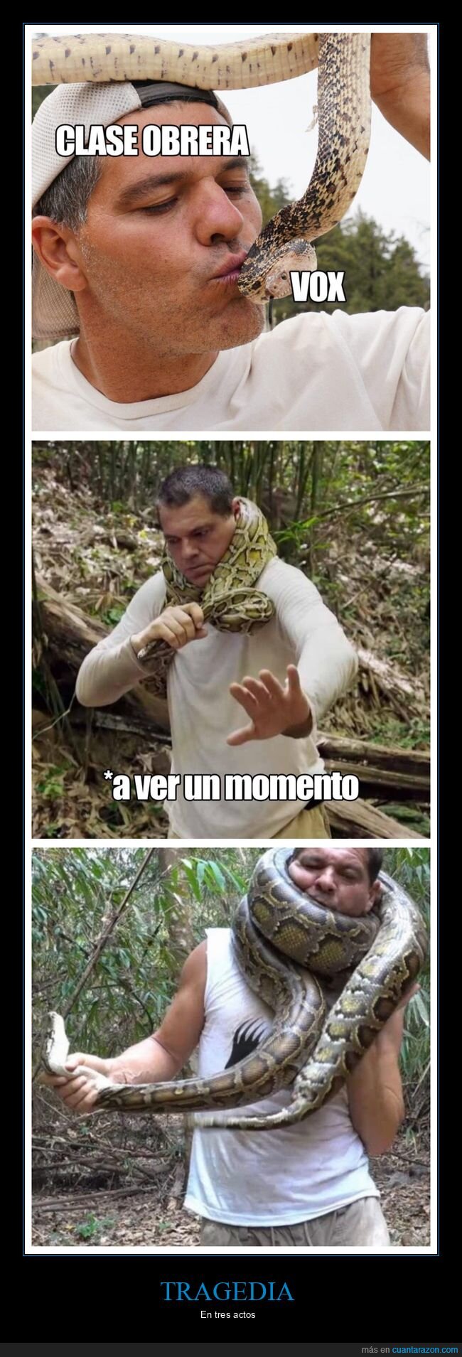 frank de la jungla,clase obrera,vox,serpiente,políticos