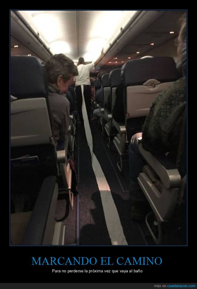 avión,fails,papel higiénico