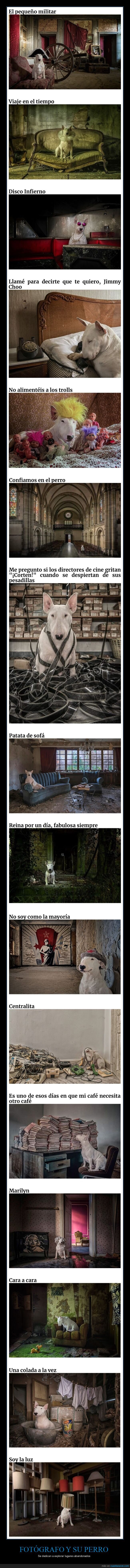 fotógrafo,perro,lugares abandonados