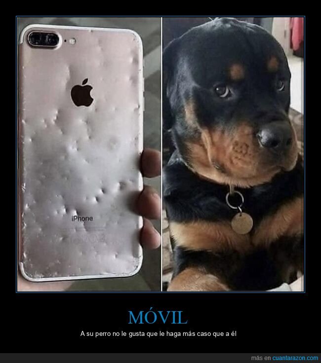 móvil,perro