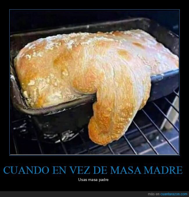 masa madre,padre