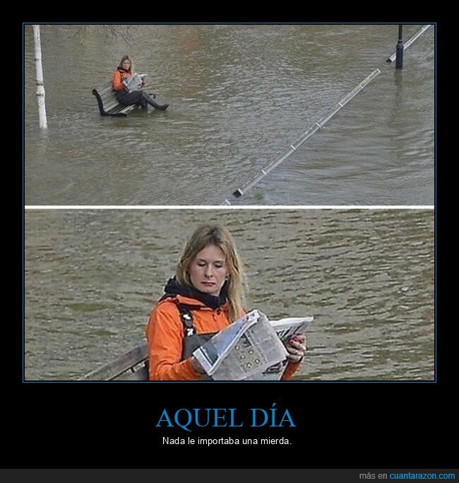 agua,banco,inundación,leyendo,periódico,wtf